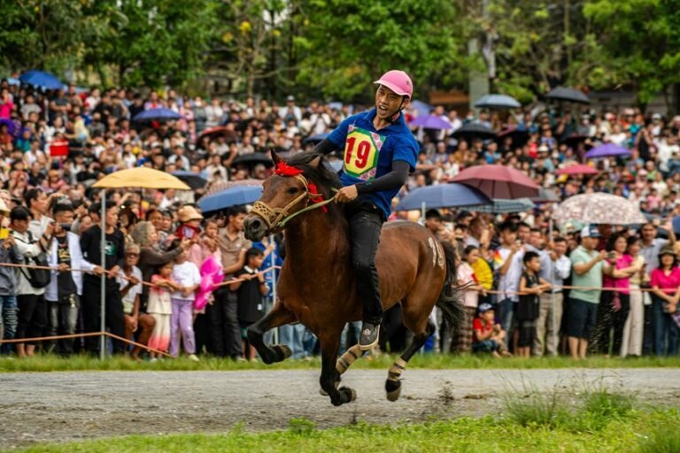 market performance analysis report