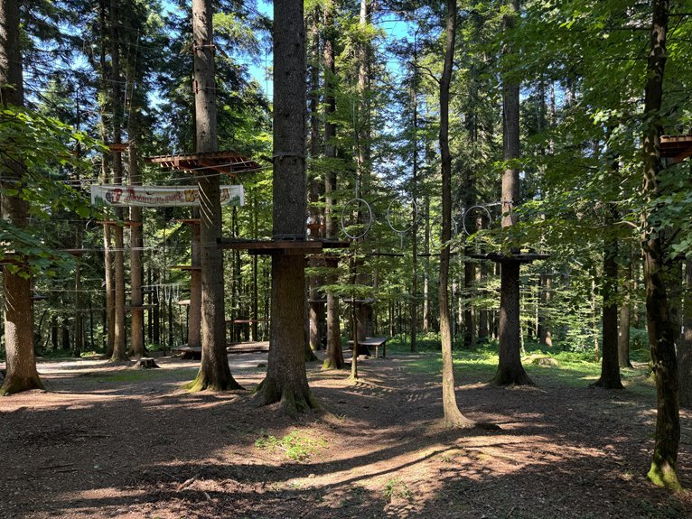 smart online platform 120506506 explained